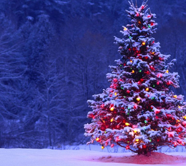 albero-di-natale